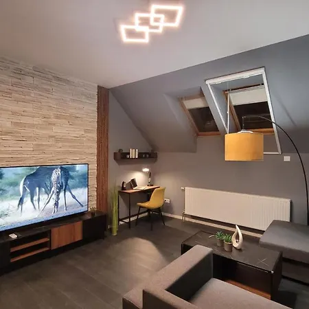 Apartment Men's World