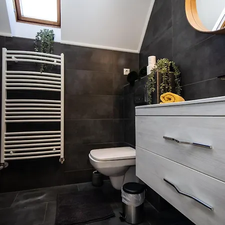 Men's World ギュラ